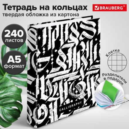 Тетрадь на кольцах А5 (175х215 мм), 240 листов, твердый картон, клетка, с разделителями, BRAUBERG, Calligraphy,404097 Тетрадь на кольцах А5 (175х215 мм), 240 листов, твердый картон, клетка, с разделителями, BRAUBERG, Calligraphy,404097