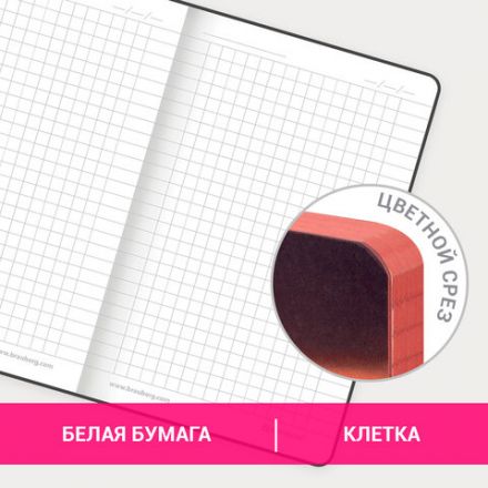 Блокнот МАЛЫЙ ФОРМАТ (100х150 мм) А6, BRAUBERG VISTA "Flamingo", под кожу, гибкий, тиснение фольга, 80 л., 112099 Блокнот МАЛЫЙ ФОРМАТ (100х150 мм) А6, BRAUBERG VISTA "Flamingo", под кожу, гибкий, тиснение фольга, 80 л., 112099