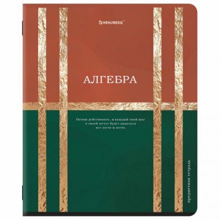 Тетради предметные, КОМПЛЕКТ 12 ПРЕДМЕТОВ, 48 л., матовая ламинация, фольга, BRAUBERG "GOLDY", 405178 Тетради предметные, КОМПЛЕКТ 12 ПРЕДМЕТОВ, 48 л., матовая ламинация, фольга, BRAUBERG "GOLDY", 405178