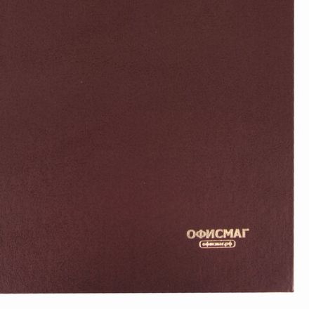 Книга учета 96 л., линия, твердая, бумвинил, блок офсет, А4 200х290 мм, ОФИСМАГ, 130178