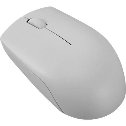 Мышь компьютерная Lenovo беспров. 300 серый (GY51L15678) Мышь компьютерная Lenovo беспров. 300 серый (GY51L15678)