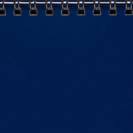 Планинг датированный 2026, Выбор есть, 130x305, 64л, бумвинил синий