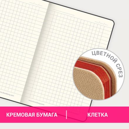 Блокнот МАЛЫЙ ФОРМАТ (100x150 мм) А6, BRAUBERG "Metropolis Mix", под кожу, 80 л., клетка, бежевый, 113331 Блокнот МАЛЫЙ ФОРМАТ (100x150 мм) А6, BRAUBERG "Metropolis Mix", под кожу, 80 л., клетка, бежевый, 113331