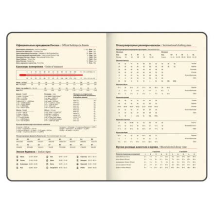 Еженедельник датированный 2026 А5 145х215 мм, BRAUBERG "Augustus", под кожу, голубой, 117165 Еженедельник датированный 2026 А5 145х215 мм, BRAUBERG "Augustus", под кожу, голубой, 117165