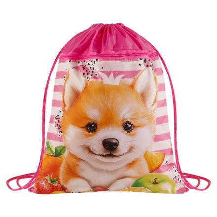 Мешок для обуви 1 отделение ArtSpace "Cute animals", 340*420мм, карман