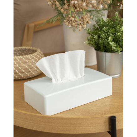 Диспенсер для салфеток косметических Luscan пласт.белый 0912W Диспенсер для салфеток косметических Luscan пласт.белый 0912W