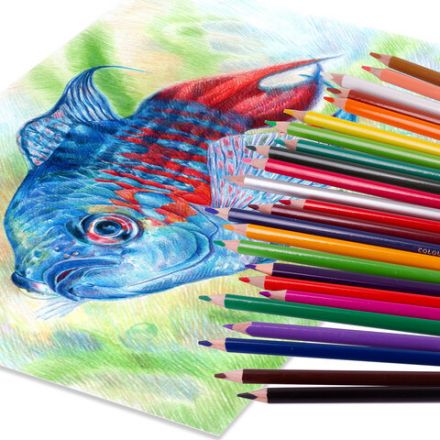 Карандаши цветные BRAUBERG PREMIUM, 36 цветов, трехгранные, грифель 3,3 мм, натуральное дерево, 181654 Карандаши цветные BRAUBERG PREMIUM, 36 цветов, трехгранные, грифель 3,3 мм, натуральное дерево, 181654