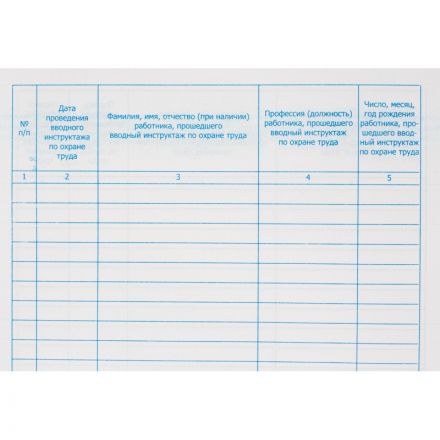 Журнал регистрации вводного инструктажа по охране труда, бумвинил,96л,офсет Журнал регистрации вводного инструктажа по охране труда, бумвинил,96л,офсет