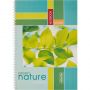 Тетрадь общая Attache Green Nature А4 96 листов в клетку на спирали Тетрадь общая Attache Green Nature А4 96 листов в клетку на спирали