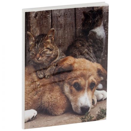 Фотоальбом 36 фото 10*15см, ArtSpace "Friends", мягкая обложка Фотоальбом 36 фото 10*15см, ArtSpace "Friends", мягкая обложка