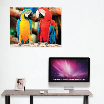 Картина стразами (алмазная мозаика) 40х50 см, ОСТРОВ СОКРОВИЩ "Попугаи", без подрамника, 662413 Картина стразами (алмазная мозаика) 40х50 см, ОСТРОВ СОКРОВИЩ "Попугаи", без подрамника, 662413