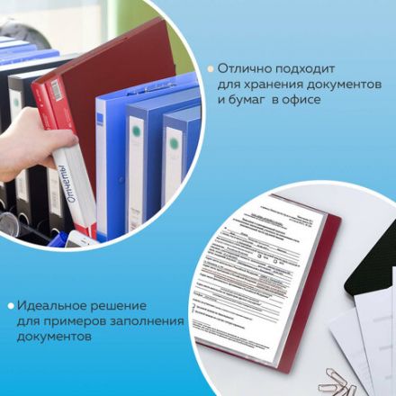 Папка 40 вкладышей BRAUBERG стандарт, красная, 0,7 мм, 221602 Папка 40 вкладышей BRAUBERG стандарт, красная, 0,7 мм, 221602