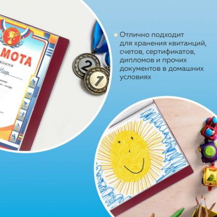 Папка 40 вкладышей BRAUBERG стандарт, красная, 0,7 мм, 221602 Папка 40 вкладышей BRAUBERG стандарт, красная, 0,7 мм, 221602