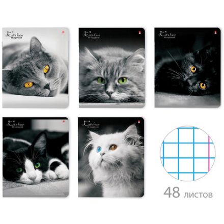 Тетрадь А5 48 л. АЛЬТ скоба, клетка, глянцевый лак, "Кошки. Яркий взгляд" (5 видов), 7-48-1019 Тетрадь А5 48 л. АЛЬТ скоба, клетка, глянцевый лак, "Кошки. Яркий взгляд" (5 видов), 7-48-1019