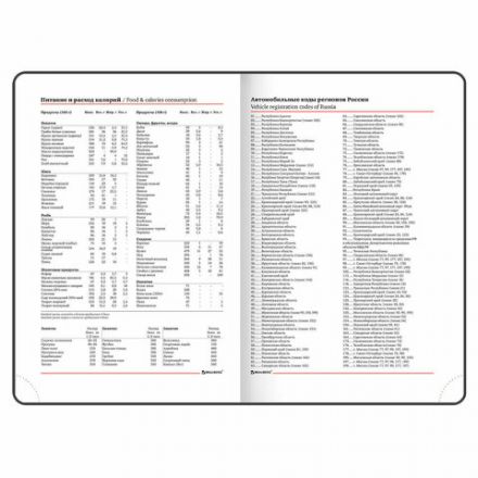 Ежедневник недатированный А5 (138х213 мм), BRAUBERG VISTA, под кожу, гибкий, 136 л., "Birds", 112021 Ежедневник недатированный А5 (138х213 мм), BRAUBERG VISTA, под кожу, гибкий, 136 л., "Birds", 112021