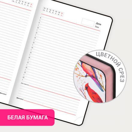 Ежедневник недатированный А5 (138х213 мм), BRAUBERG VISTA, под кожу, гибкий, 136 л., "Birds", 112021 Ежедневник недатированный А5 (138х213 мм), BRAUBERG VISTA, под кожу, гибкий, 136 л., "Birds", 112021