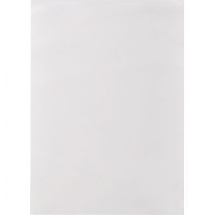 Папка-уголок Attache Economy A4 прозрачная 100 мкм (10 штук в упаковке) Папка-уголок Attache Economy A4 прозрачная 100 мкм (10 штук в упаковке)