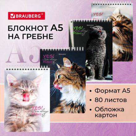 Блокнот А5 (146х206 мм), 80 л., гребень, картон, клетка, BRAUBERG, "Довольные коты", 114374 Блокнот А5 (146х206 мм), 80 л., гребень, картон, клетка, BRAUBERG, "Довольные коты", 114374