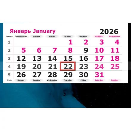 Календарь настенный 3-х блочный 2026 Attache, Яркая ночь, 305х780, 80г Календарь настенный 3-х блочный 2026 Attache, Яркая ночь, 305х780, 80г