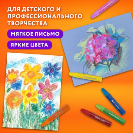 Пастель масляная восковые мелки утолщенные 25 цветов с точилкой и держателем, BRAUBERG PREMIUM, 272712
