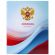 Дневник 1-11 класс 40 л., на скобе, ПИФАГОР, обложка картон, МИКС "Российский", 107576 Дневник 1-11 класс 40 л., на скобе, ПИФАГОР, обложка картон, МИКС "Российский", 107576
