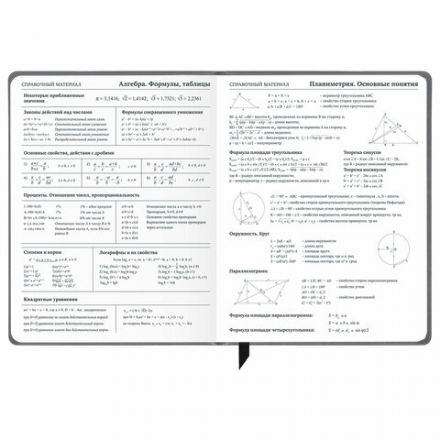 Дневник 1-11 класс 48 л., кожзам (твердая), печать, резинка, конверт, BRAUBERG, "Eyes", 106578