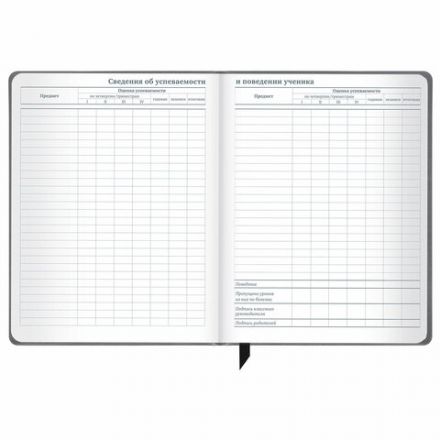 Дневник 1-11 класс 48 л., кожзам (твердая), печать, резинка, конверт, BRAUBERG, "Eyes", 106578