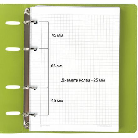 Тетрадь на кольцах А5 (180х220 мм), 120 листов, под кожу, клетка, BRAUBERG "Joy", зелёный/светло-зелёный, 129991 Тетрадь на кольцах А5 (180х220 мм), 120 листов, под кожу, клетка, BRAUBERG "Joy", зелёный/светло-зелёный, 129991