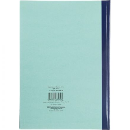 Книга учета амбарная газетная бумага А4 96 листов в клетку на сшивке (обложка - плотный картон)