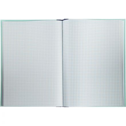 Книга учета амбарная газетная бумага А4 96 листов в клетку на сшивке (обложка - плотный картон)
