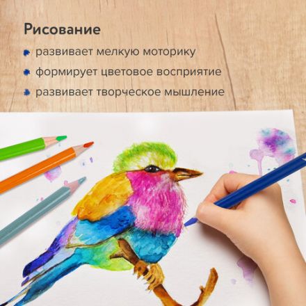 Карандаши цветные акварельные BRAUBERG PREMIUM AQUARELLE, 36 цветов, трехгранные, утолщенный грифель 4 мм, натуральное дерево, 181674 Карандаши цветные акварельные BRAUBERG PREMIUM AQUARELLE, 36 цветов, трехгранные, утолщенный грифель 4 мм, натуральное дерево, 181674