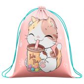 Мешок для обуви 1 отделение ArtSpace "The cat with the glass", увеличенный объем, 410*490мм Мешок для обуви 1 отделение ArtSpace "The cat with the glass", увеличенный объем, 410*490мм