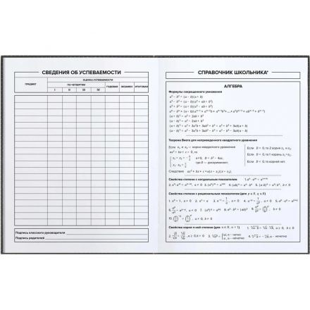 Дневник школьника КОМИКС интегральный переплёт, А5+, 48 л. 66823
