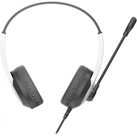 Гарнитура A4Tech Fstyler (FH100U (PANDA)) белый/черный 2м накладные USB Гарнитура A4Tech Fstyler (FH100U (PANDA)) белый/черный 2м накладные USB