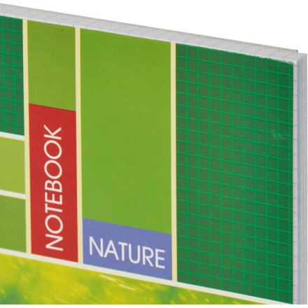 Тетрадь общая Attache А4 120 листов в клетку на спирали Тетрадь общая Attache А4 120 листов в клетку на спирали