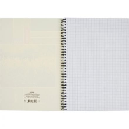 Тетрадь общая Attache А4 120 листов в клетку на спирали Тетрадь общая Attache А4 120 листов в клетку на спирали