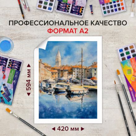 Папка для акварели БОЛЬШАЯ А2, 20 л., "ГАРМОНИЯ", зерно, 200 г/м2, ГОЗНАК, BRAUBERG ART CLASSIC, 113211 Папка для акварели БОЛЬШАЯ А2, 20 л., "ГАРМОНИЯ", зерно, 200 г/м2, ГОЗНАК, BRAUBERG ART CLASSIC, 113211