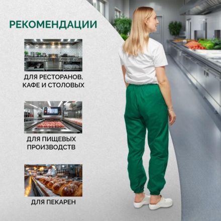 Брюки для пищевого производства зел. универс.сат у17-БР (р.60-62) р.158-164 Брюки для пищевого производства зел. универс.сат у17-БР (р.60-62) р.158-164