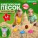 Песок для лепки кинетический с 3 формочками, цвет песочный, 1500г, пакет, BRAUBERG KIDS, 666000 Песок для лепки кинетический с 3 формочками, цвет песочный, 1500г, пакет, BRAUBERG KIDS, 666000