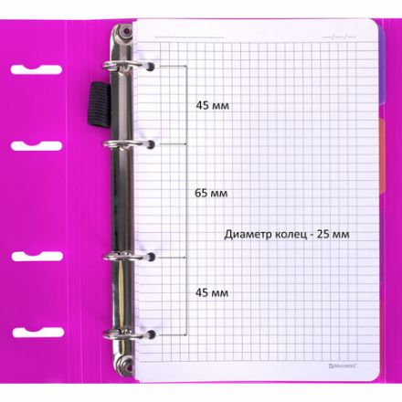 Тетрадь на кольцах А5 175х220 мм, 120 л., пластик, на липучке, с разделителями, BRAUBERG, Розовый, 404635