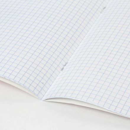 Тетрадь 18 л. BRAUBERG "ЭКО", клетка, обложка картон 170 г/м2, ЗЕЛЕНАЯ ПАСТЕЛЬНАЯ, 105675