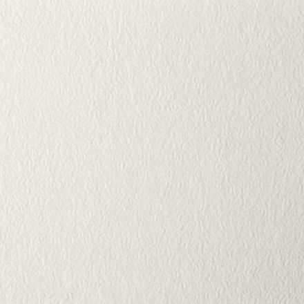 Бумага для пастели БОЛЬШАЯ А3, 20 л., слоновая кость ГОЗНАК 200 г/м2, тиснение Скорлупа, BRAUBERG ART, 126304 Бумага для пастели БОЛЬШАЯ А3, 20 л., слоновая кость ГОЗНАК 200 г/м2, тиснение Скорлупа, BRAUBERG ART, 126304