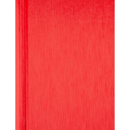 Ежедневник недатированный Attache Rain, А5, 160 л, красный