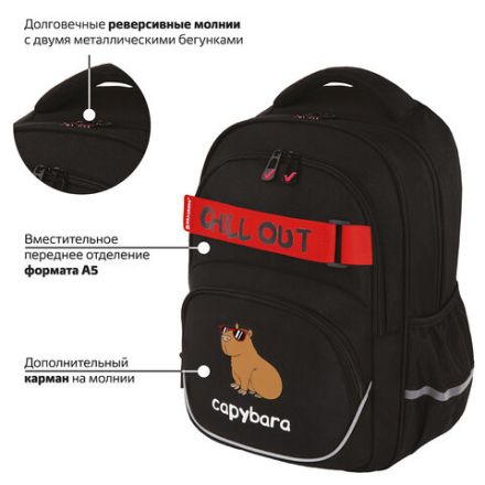 Рюкзак BRAUBERG MOTION, 2 отделения, 3 кармана, "Calm capy", СВЕТЯЩИЙСЯ, 41х28х17 см, 272032 Рюкзак BRAUBERG MOTION, 2 отделения, 3 кармана, "Calm capy", СВЕТЯЩИЙСЯ, 41х28х17 см, 272032