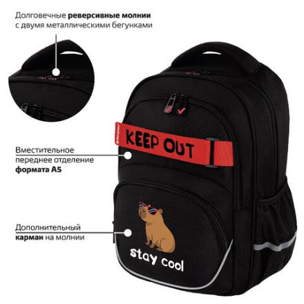 Рюкзак BRAUBERG MOTION, 2 отделения, 3 кармана, "Calm capy", СВЕТЯЩИЙСЯ, 41х28х17 см, 272032