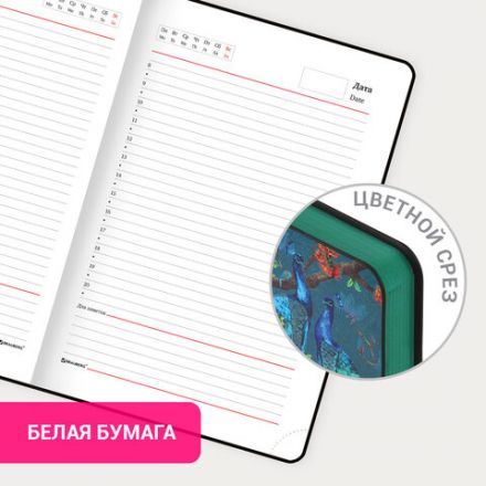 Ежедневник недатированный А5 (138х213 мм), BRAUBERG VISTA, под кожу, гибкий, 136 л., "Peacocks", 112032 Ежедневник недатированный А5 (138х213 мм), BRAUBERG VISTA, под кожу, гибкий, 136 л., "Peacocks", 112032