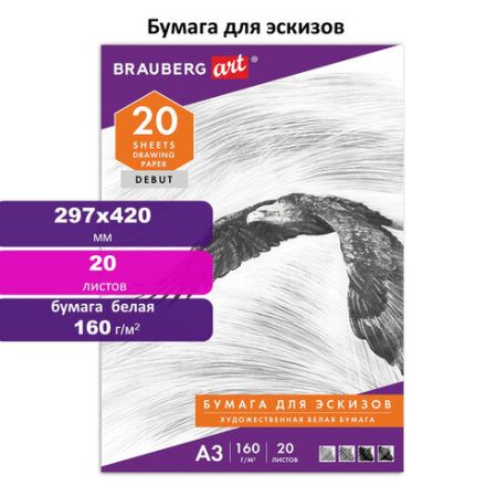 Папка для рисования БОЛЬШОГО ФОРМАТА А3, 20 л., 160 г/м2, BRAUBERG, 297х420 мм, "Орел", 125228 Папка для рисования БОЛЬШОГО ФОРМАТА А3, 20 л., 160 г/м2, BRAUBERG, 297х420 мм, "Орел", 125228
