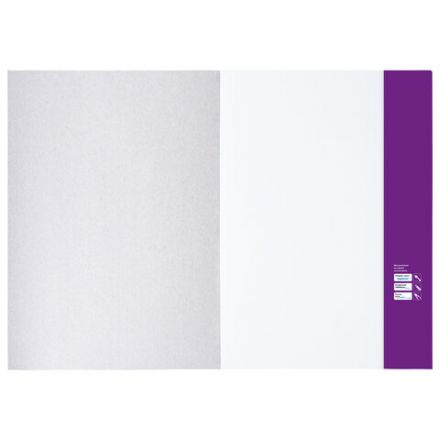 Папка для рисования БОЛЬШОГО ФОРМАТА А3, 20 л., 160 г/м2, BRAUBERG, 297х420 мм, "Орел", 125228 Папка для рисования БОЛЬШОГО ФОРМАТА А3, 20 л., 160 г/м2, BRAUBERG, 297х420 мм, "Орел", 125228