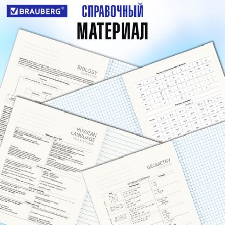 Тетради предметные со справочным материалом, КОМПЛЕКТ 12 ПРЕДМЕТОВ, 48 л., обложка картон, BRAUBERG, "VISION", 404323 Тетради предметные со справочным материалом, КОМПЛЕКТ 12 ПРЕДМЕТОВ, 48 л., обложка картон, BRAUBERG, "VISION", 404323