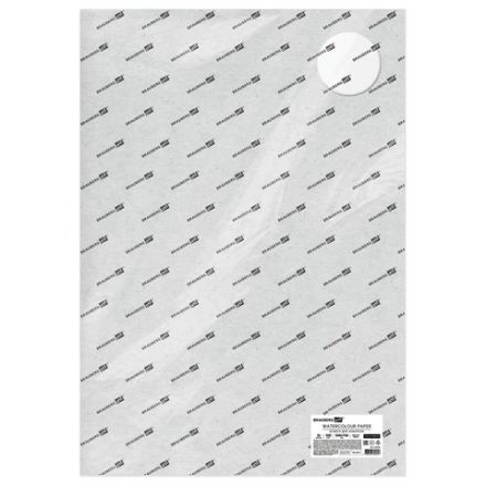 Бумага для акварели 300 г/м2 560x760 мм среднее зерно, 10 листов, BRAUBERG ART PREMIERE, 113238 Бумага для акварели 300 г/м2 560x760 мм среднее зерно, 10 листов, BRAUBERG ART PREMIERE, 113238